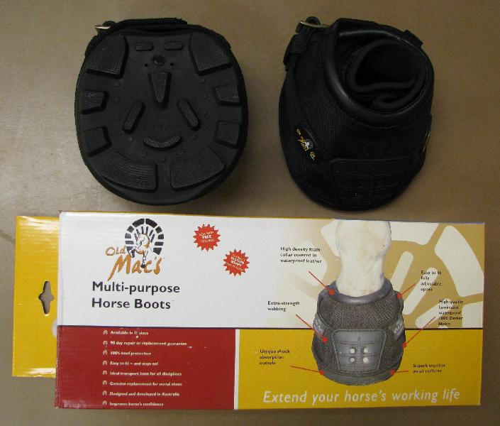 Lakeview Animal Hospital