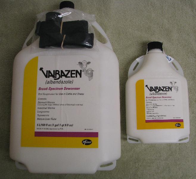 Zentel Albendazole Suspension