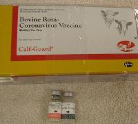 Calf Guard Vaccine - CALFGUARD contains modified live bovine rota- and coronavirus propagated on established cell lines and freeze-dried to preserve stability. Vaccine is rehydrated in a 3-mL dose with sterile diluent.